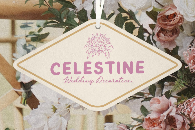 enchanted-bride-wedding-font