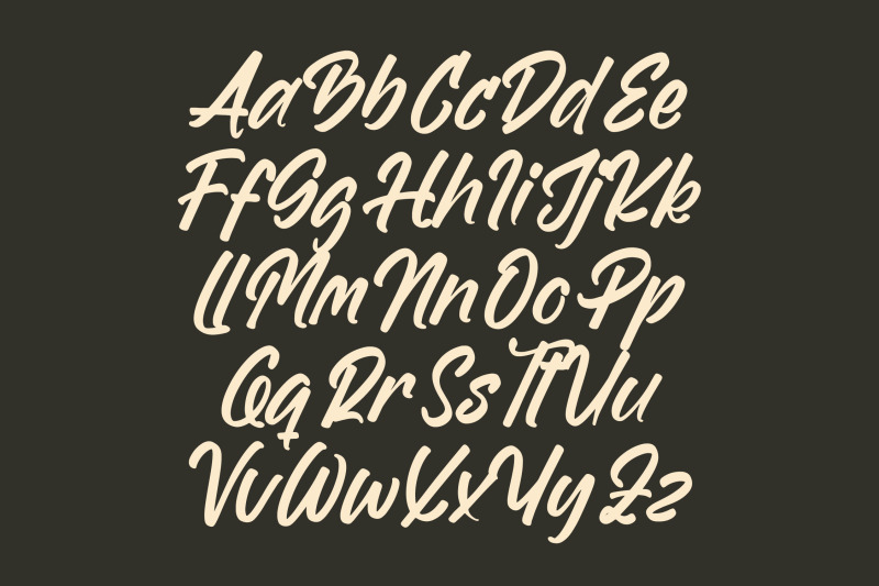 homes-spaceline-bold-handwritten-font