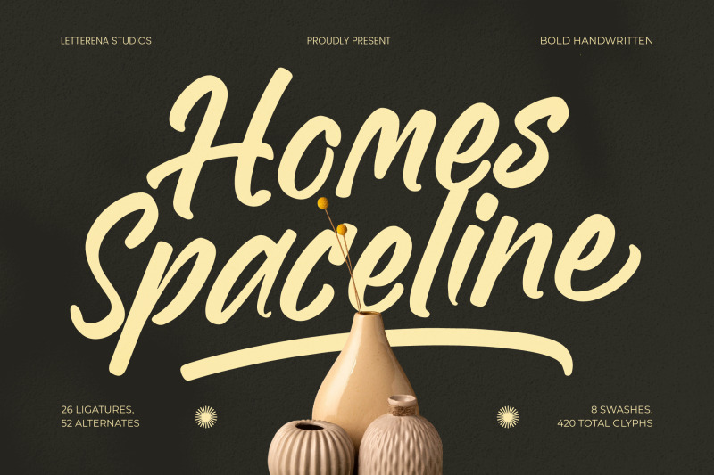 homes-spaceline-bold-handwritten-font