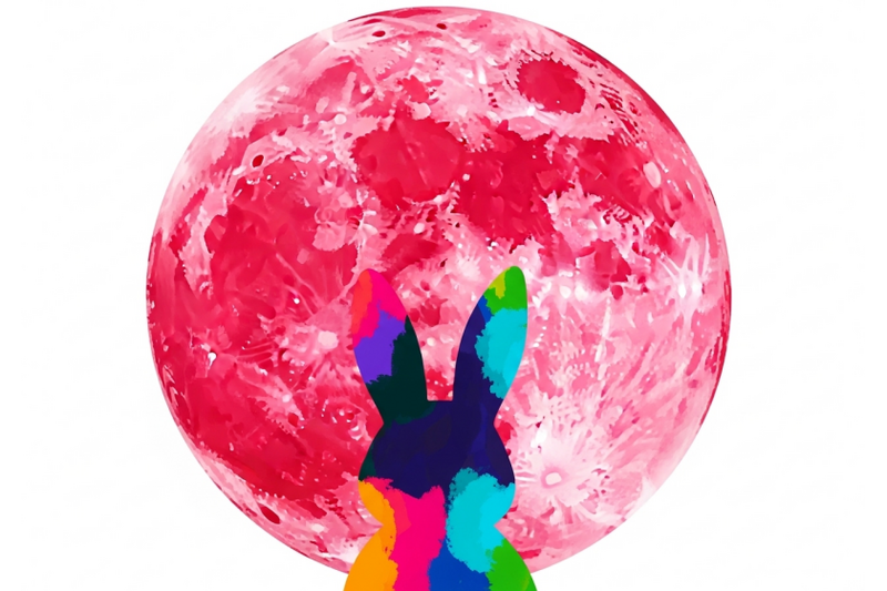 pink-moon-bunny