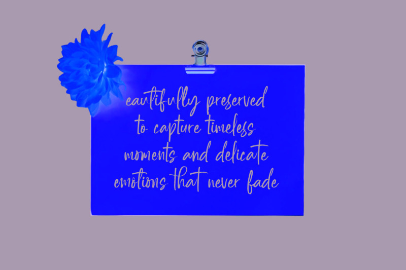 daltonse-best-stylish-font