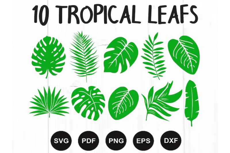 tropical-leaves-svg-bundle-tropical-leaf-svg