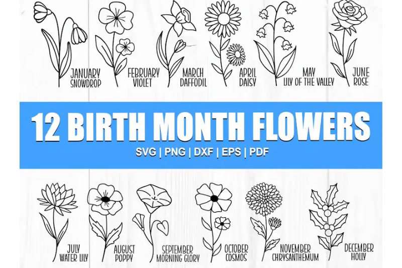 birth-month-flowers-svg-wildflower-svg
