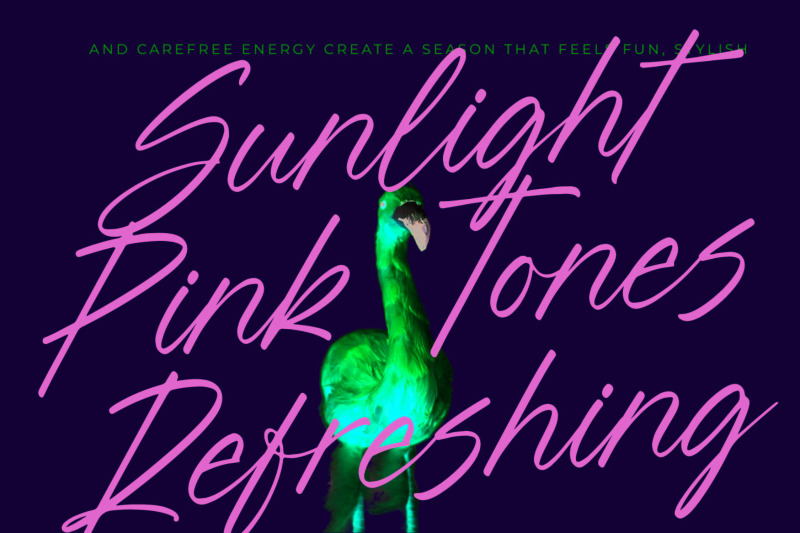 blynkas-scripte-aesthetic-handwritten-font