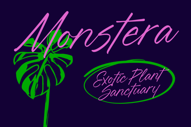 blynkas-scripte-aesthetic-handwritten-font