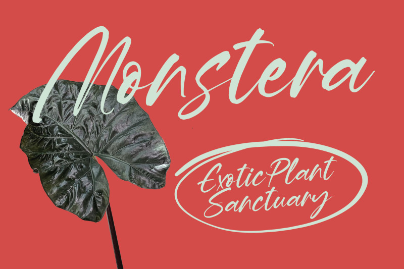 hevling-justien-bold-brush-font