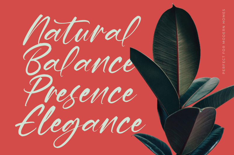 hevling-justien-bold-brush-font