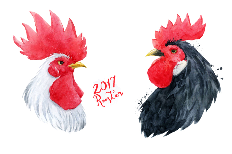 the-fire-rooster-vector-png-psd