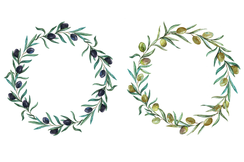 watercolor-olive-set-vector-png