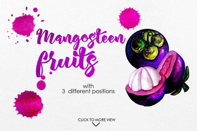 Watercolor Fruits Vol 3 By Graphobia Thehungryjpeg Com