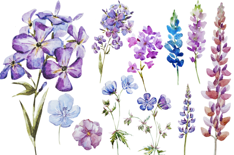 watercolor-summer-flowers-vector-psd