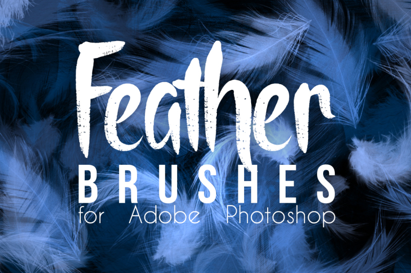 real-feather-photoshop-brushes