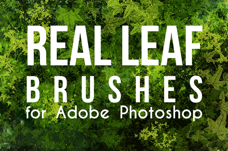 real-leaf-photoshop-brushes