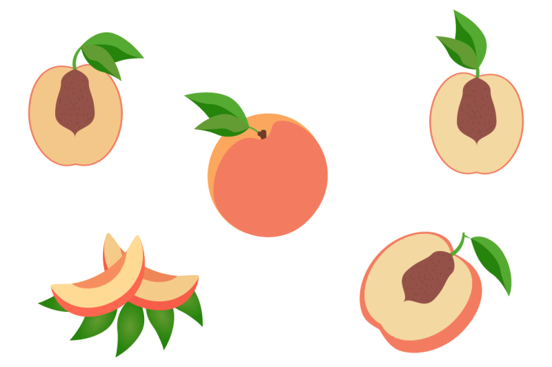 fruits-and-vegetables-vector