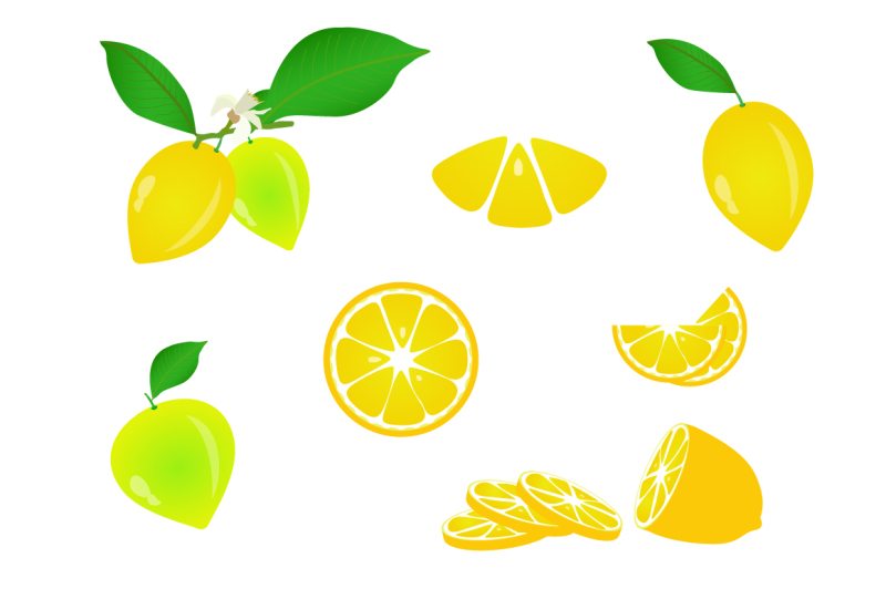 fruits-and-vegetables-vector