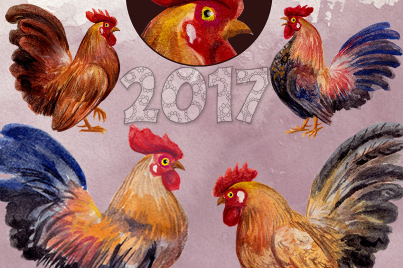 watercolor-roosters-family-amp-2017