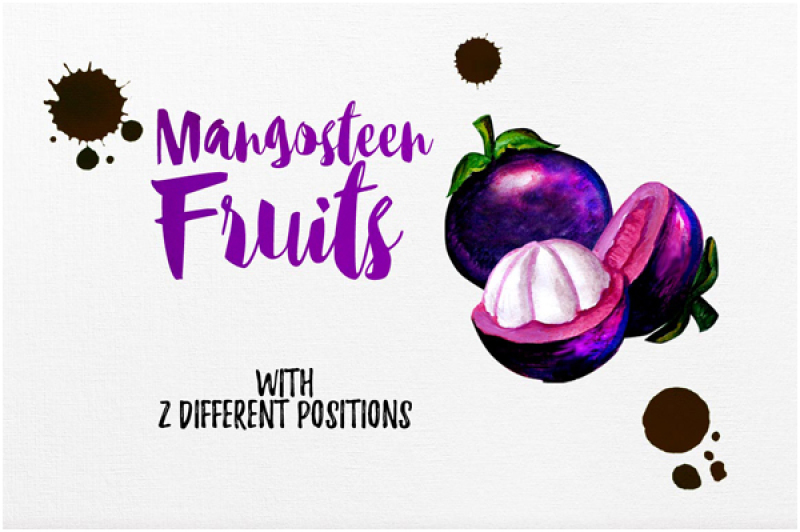 watercolor-fruits-vol-4