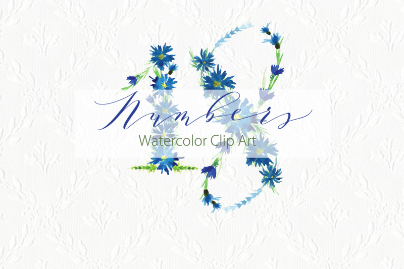 flowers-numbers-watercolor-clipart