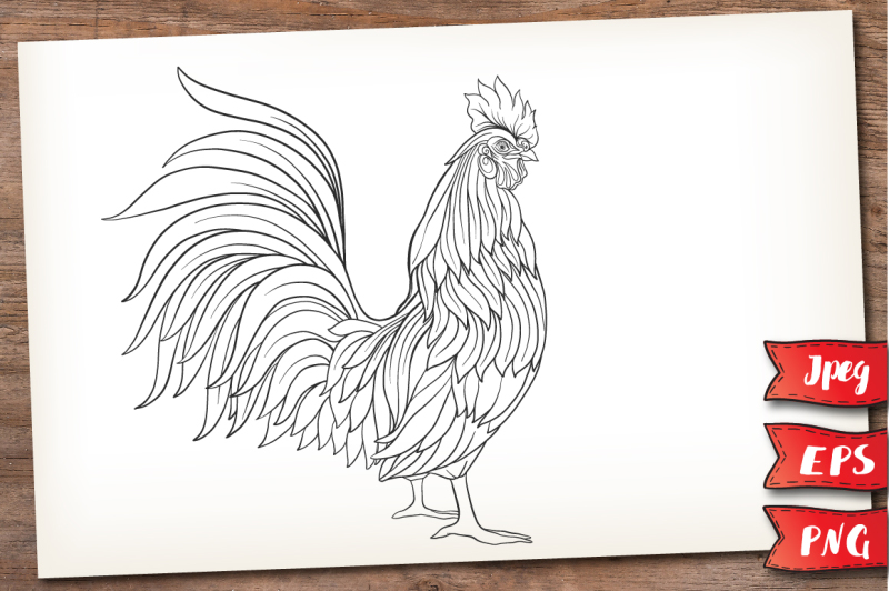 rooster-outline-color