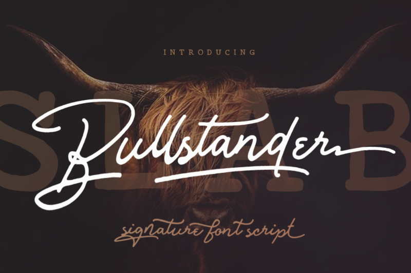 bullstander-font-set
