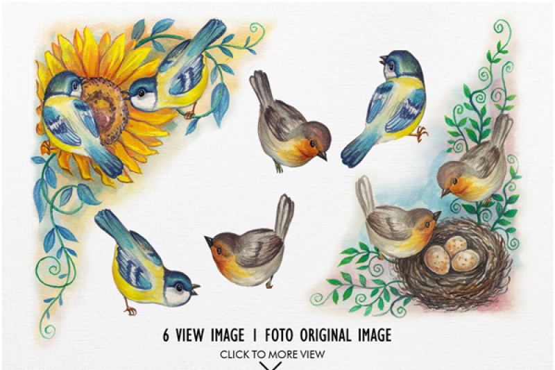 watercolor-birds-vol-2