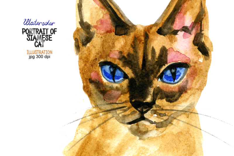 watercolor-portrait-of-siamese-cat