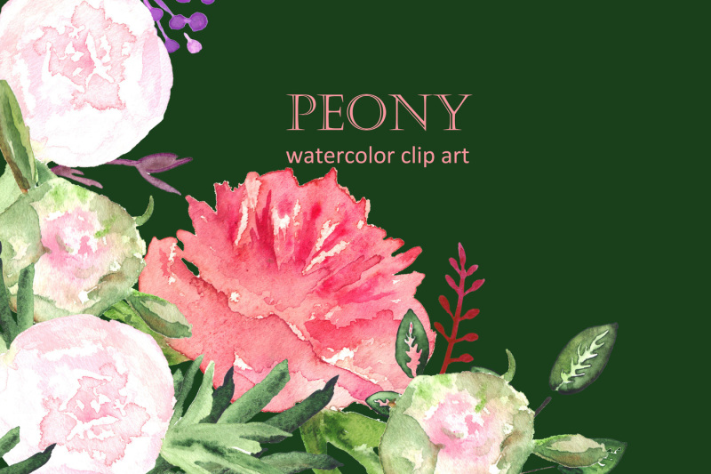 peony-set-watercolor-clip-art