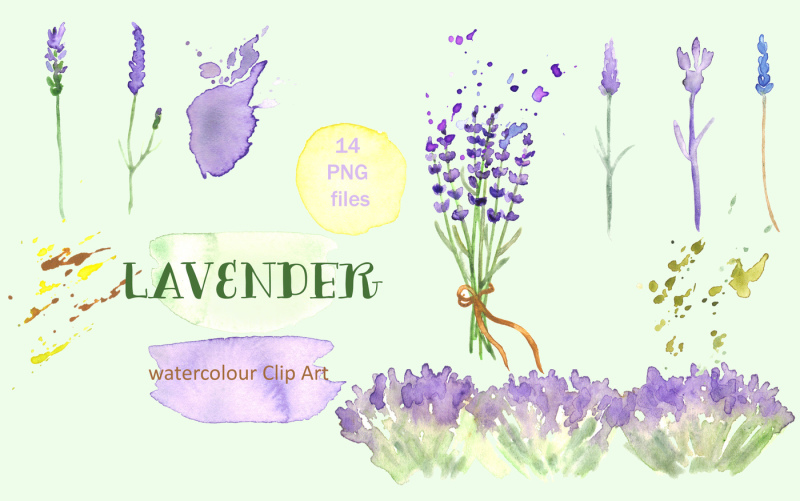 lavender-watercolor-clip-art