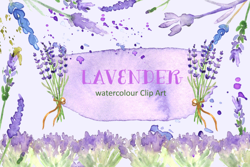 lavender-watercolor-clip-art