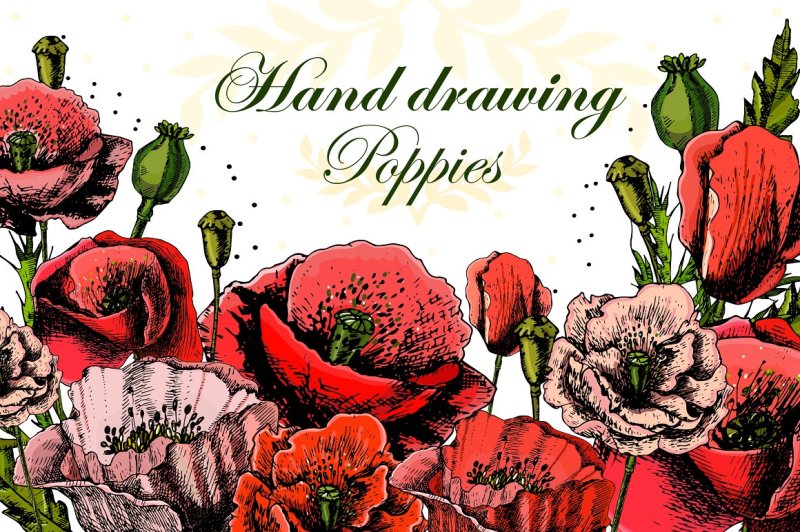 beautiful-hand-drawing-poppies