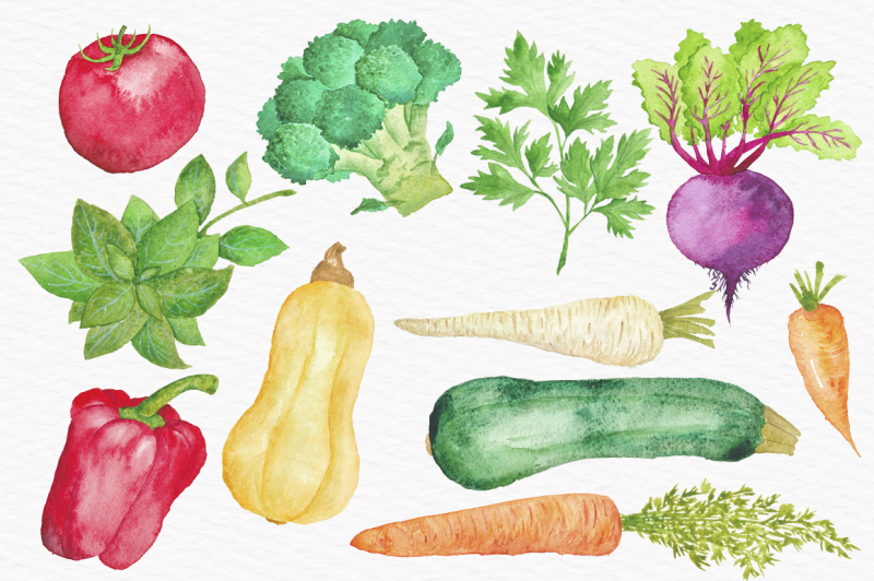 vegetable-watercolor-collection