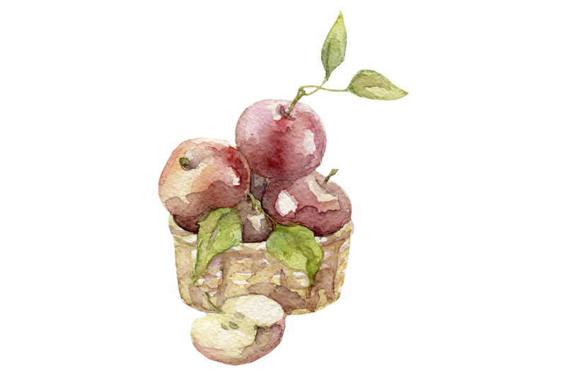 watercolor-hand-drawn-fruits-set