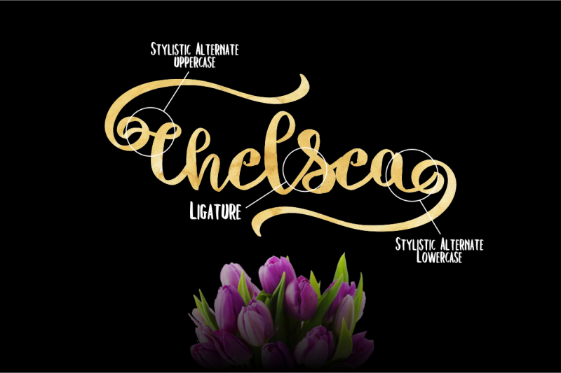chelsea-fonts-duo-brush-and-script