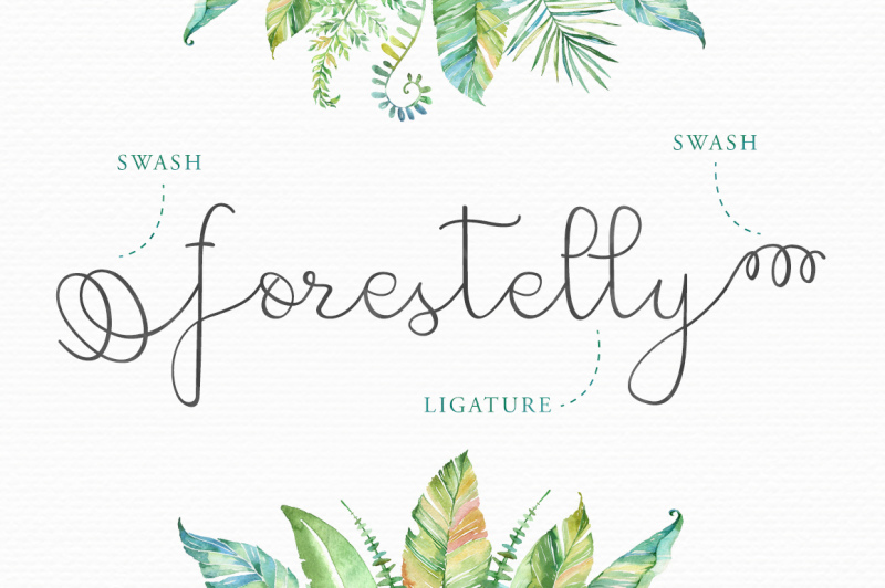 forestelly-familly-swashes
