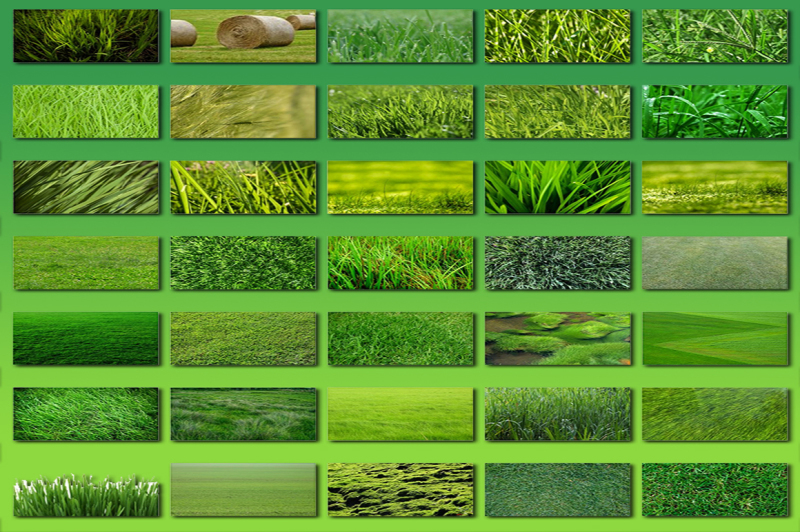 100-grass-textures