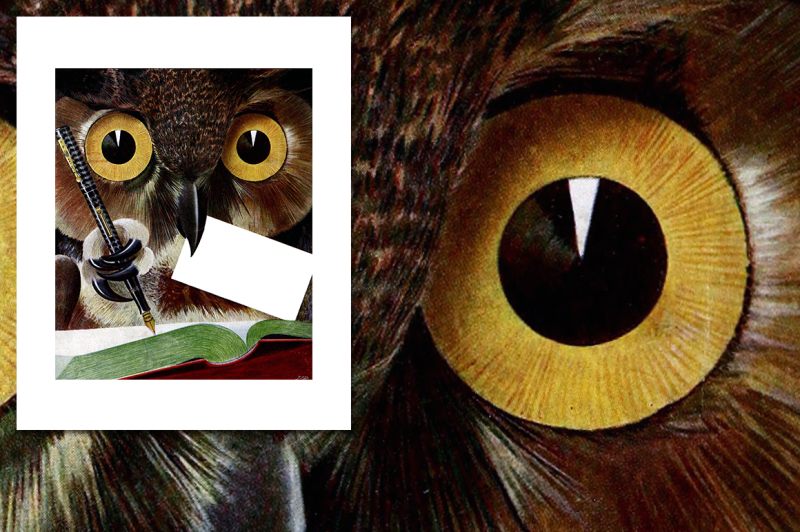 owl-journaling