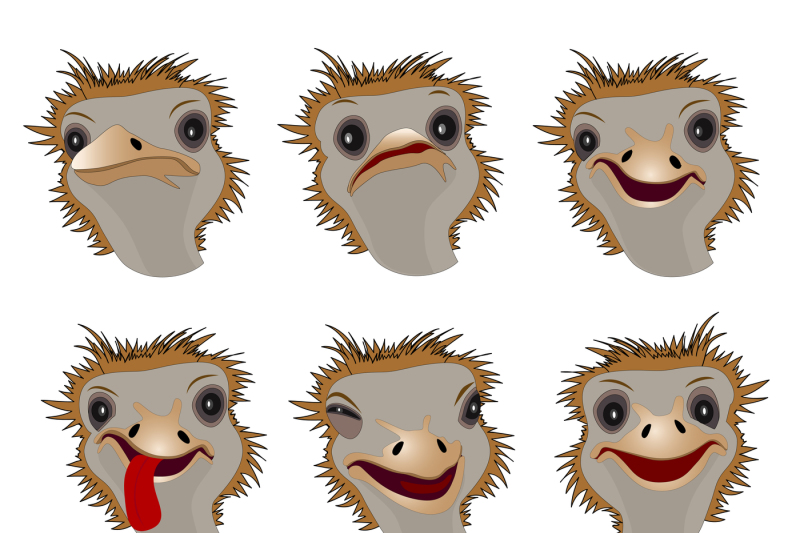 icons-in-the-form-of-an-funny-ostriches-depicting-various-emotions-archive-contains-jpeg-format-with-300-dpi-resolution-isolated-on-white-background-png-transparent-background-eps-10-for-use-in-any-desired-size