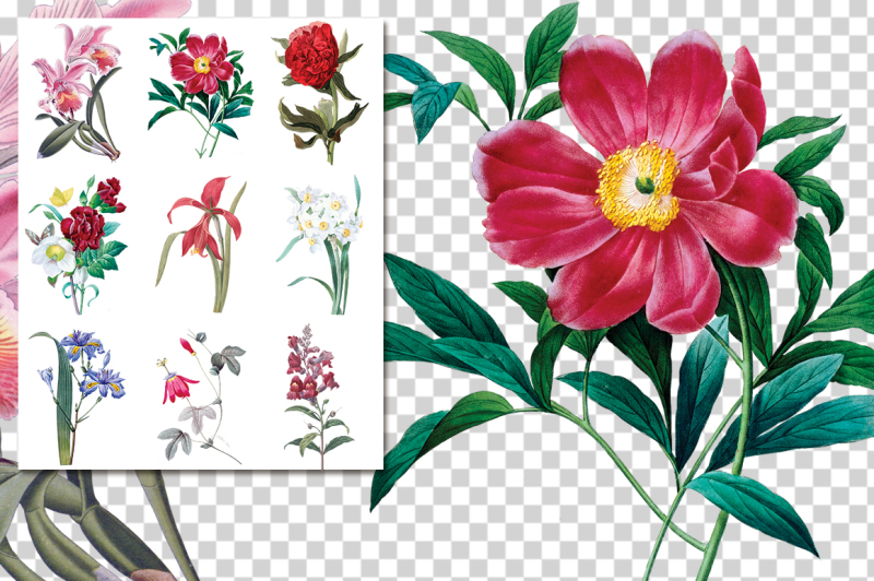 vintage-watercolor-flowers-collage-01