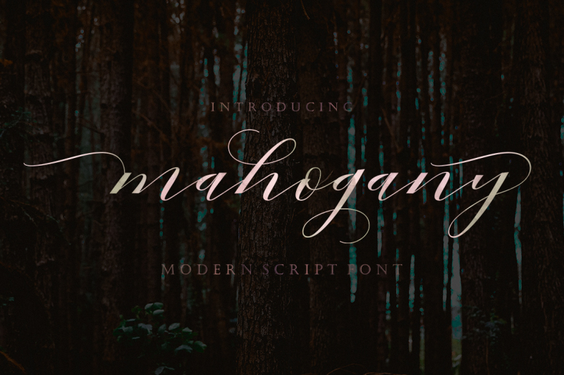 mahogany-script