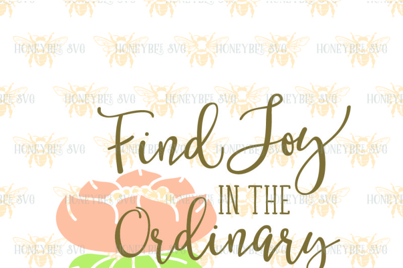 find-joy-in-the-ordinary
