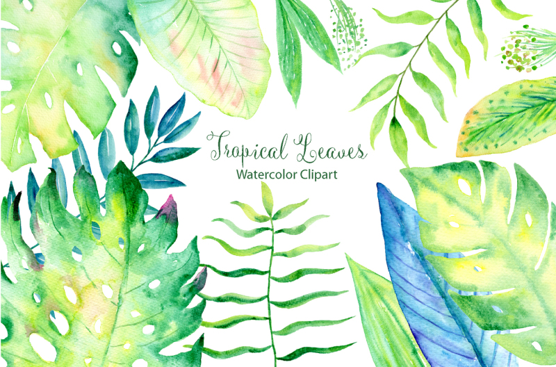 watercolor-tropical-leaves