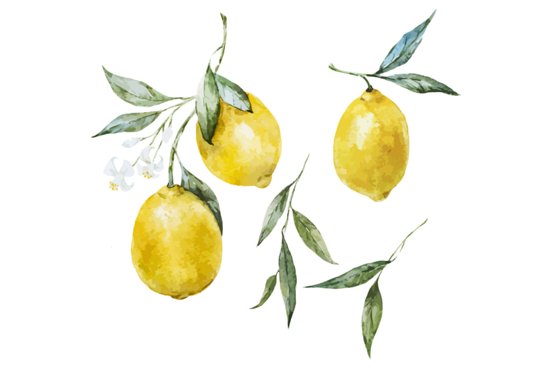 watercolor-lemons-and-patterns-vector