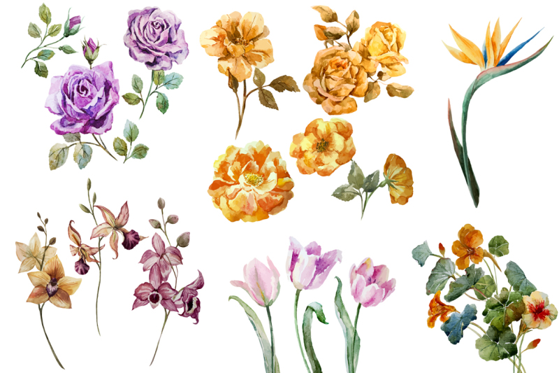 watercolor-floral-bundle-vector