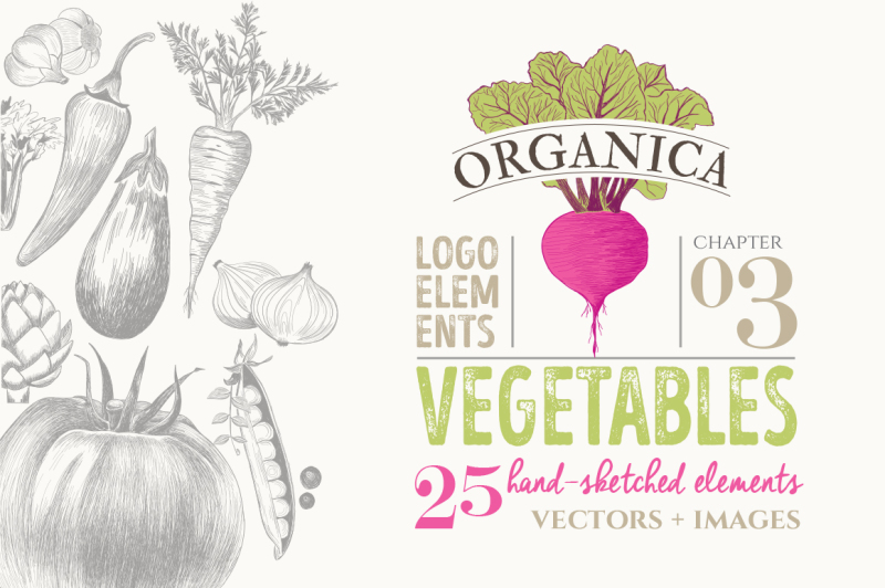 organic-logo-elements-vegetables