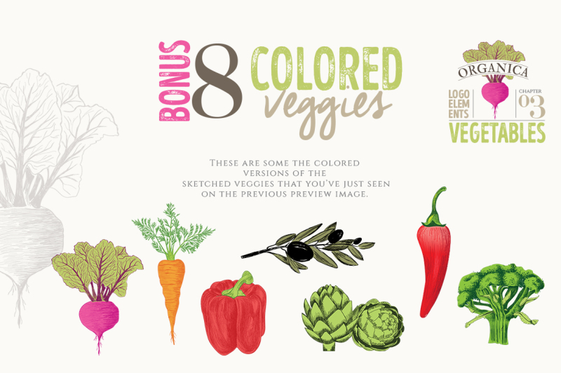 organic-logo-elements-vegetables