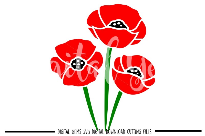 Poppy SVG / DXF / EPS / PNG Files Free SVG CUt Files