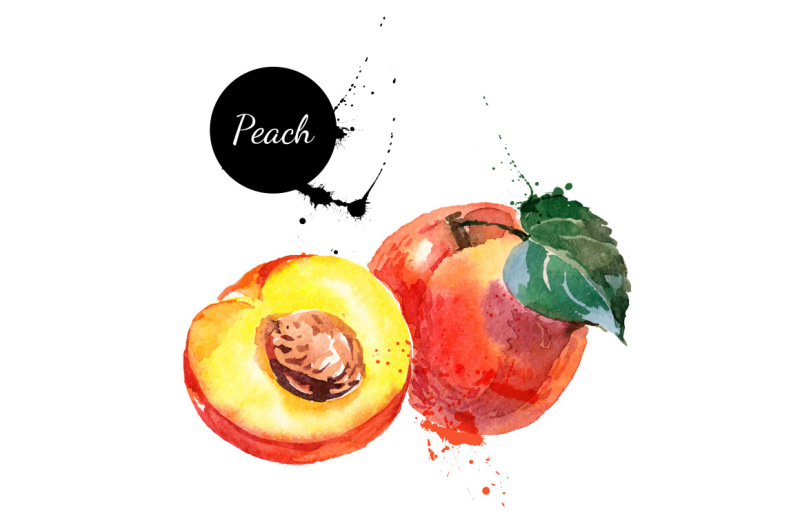 20-watercolor-fruits-vector-set