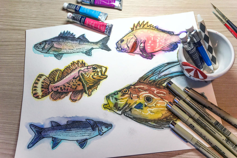 watercolor-fish-clipart-big-collection-limited-time-offer-1-normally-10