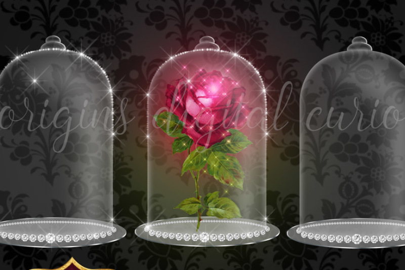 diamond-rose-display-case