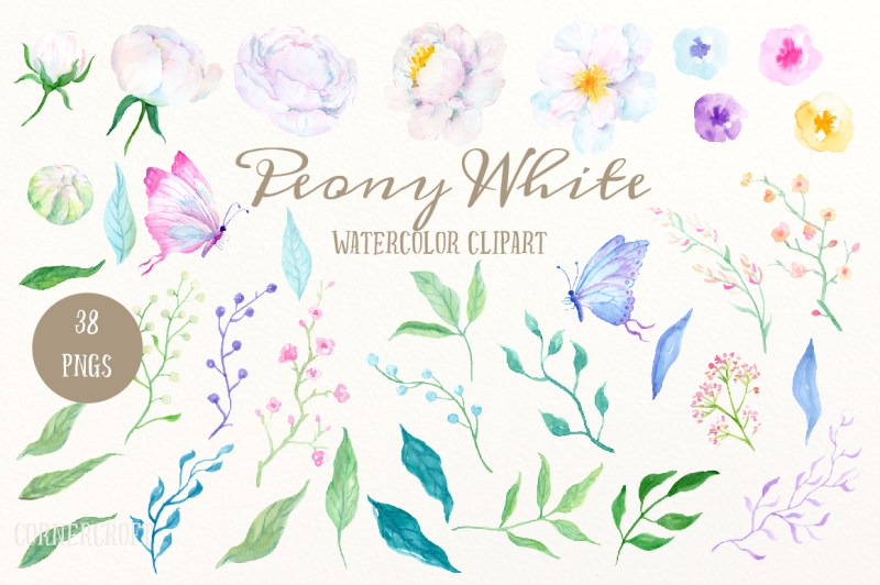 watercolor-clipart-peony-white